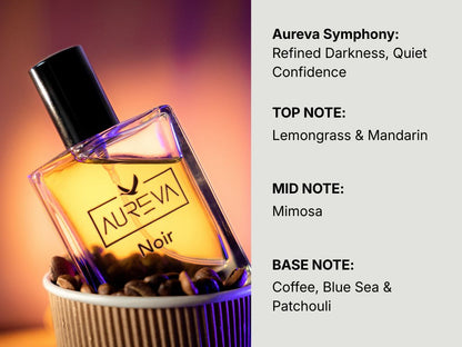 Aureva Classic Combo Set (Noir × Évo)